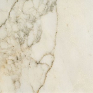 Fioranese Prestige Borghini Effect Matt 60x60 M3602R płytki gresowe