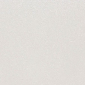 Saloni Intro Marfil 60x60 GYH670 płytka gresowa