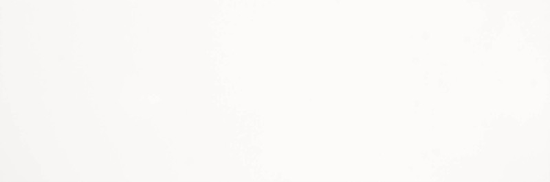 Płytki ścienne białe Saloni Vantage Blanco mate 40x120 bn, ag 9541