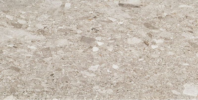 Fioranese Frammenta Grigio Chiaro Polished 30,2x60,4 CG363LR płytka podłogowa lastryko 129756