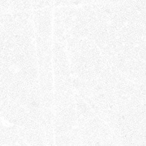 Vives Seine Corneille-R Blanco 15x15 płytki kamienne gresowe