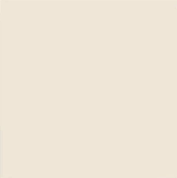 Vives Satinados Beige Mate 20x20 płytki ścienne 154932