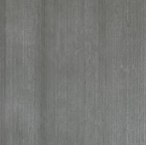 Płytki podłogowe ciemno szare beton ze strukturą tynku Casalgrande Padana Cemento Cassero Antracite 60x60