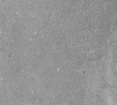 Gres szary naturalny kamień beton z białymi żyłami Casalgrande Padana Pietra di sardegna Caprera lapatto 90x90 31090