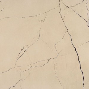 Fioranese Sound Of Marbles Beige Antico Matt 30x30 M4302R płytki marmurowe gresowe